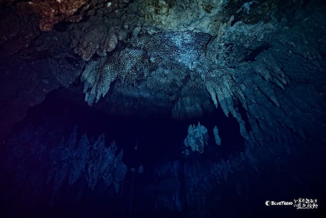 Palau 6-Day 5-Night Dive Getaway (Independent Travel)