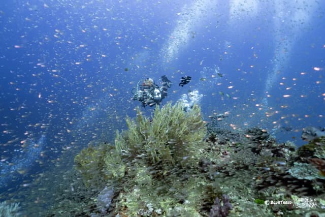 2026.12.24-29 Similan Christmas Charter Liveaboard