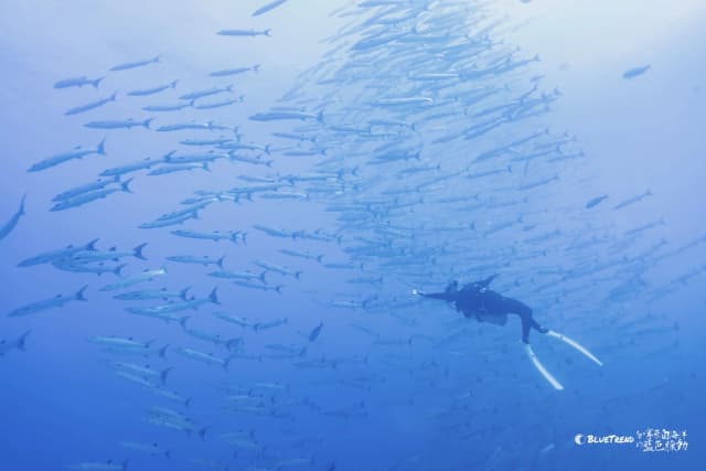 2026.12.24-29 Similan Christmas Charter Liveaboard