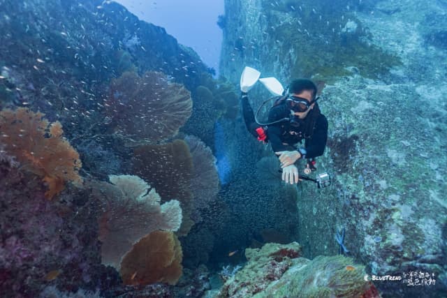 2026.12.24-29 Similan Christmas Charter Liveaboard