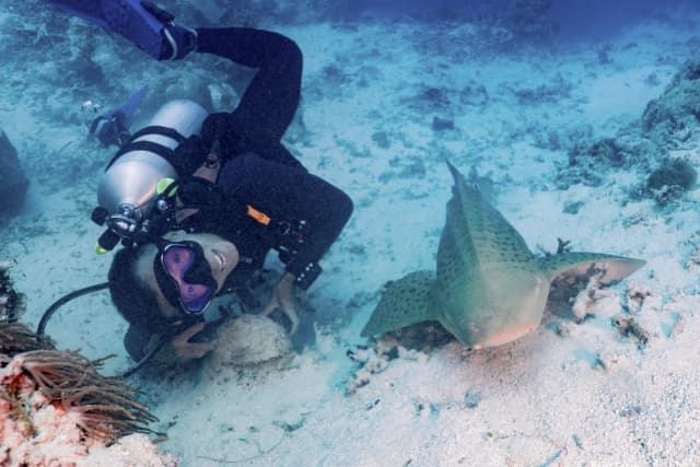 2026.11.23-28 Palau 6-Day 5-Night Dive Adventure